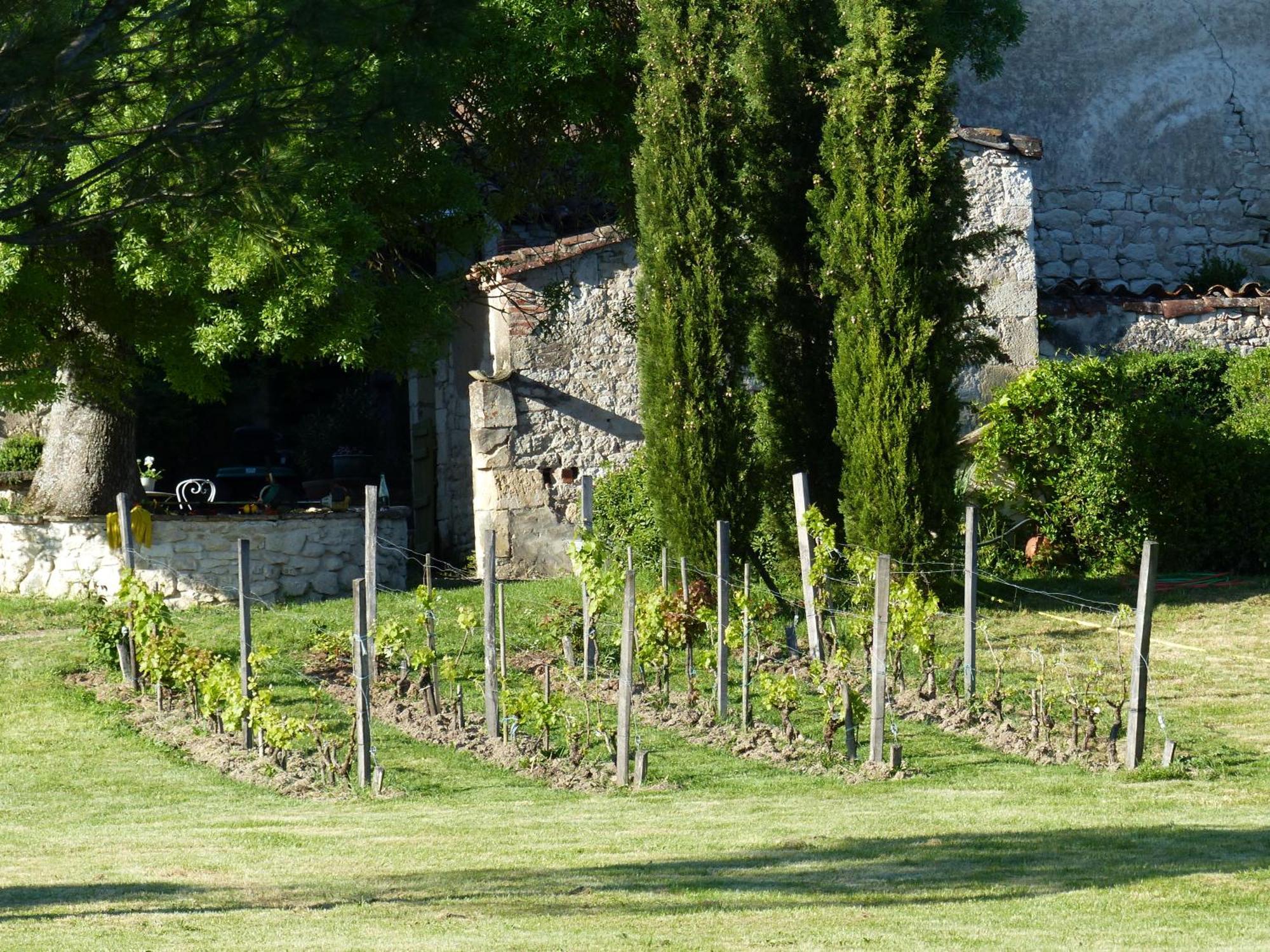 Domaine De La Monestarie - Teritoria Hotel Bernac  Kültér fotó