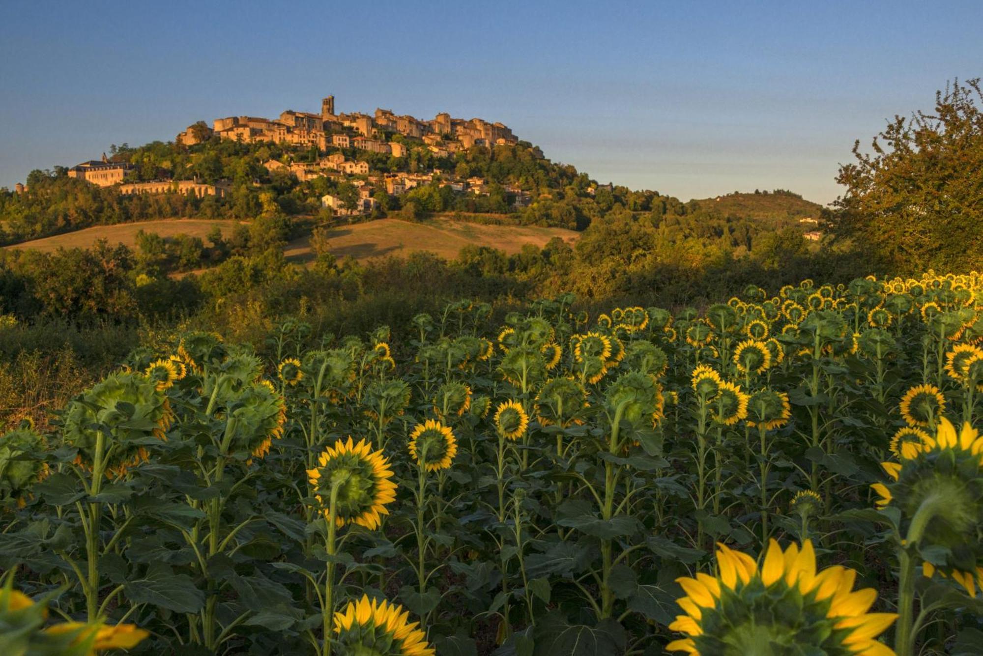 Domaine De La Monestarie - Teritoria Hotel Bernac  Kültér fotó